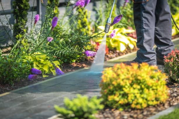Best Animal Enclosure Cleaning  in Waverly, MN