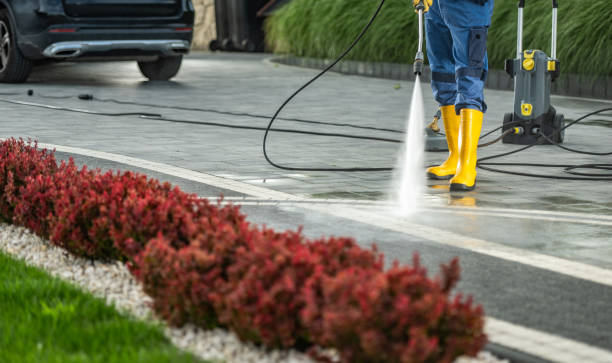 Best Factory Floor Cleaning  in Waverly, MN
